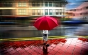 Photo Contest 40