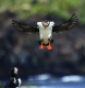 Our All-Time Top 10 Pictures, Plus 15 More Favourites