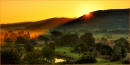 Photo Contest 39
